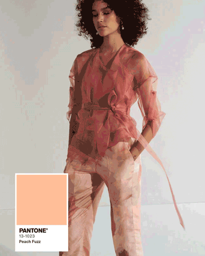 Evoluzione's Palette Perfection: Exploring Pantone's Colour Of The Year - Peach Fuzz