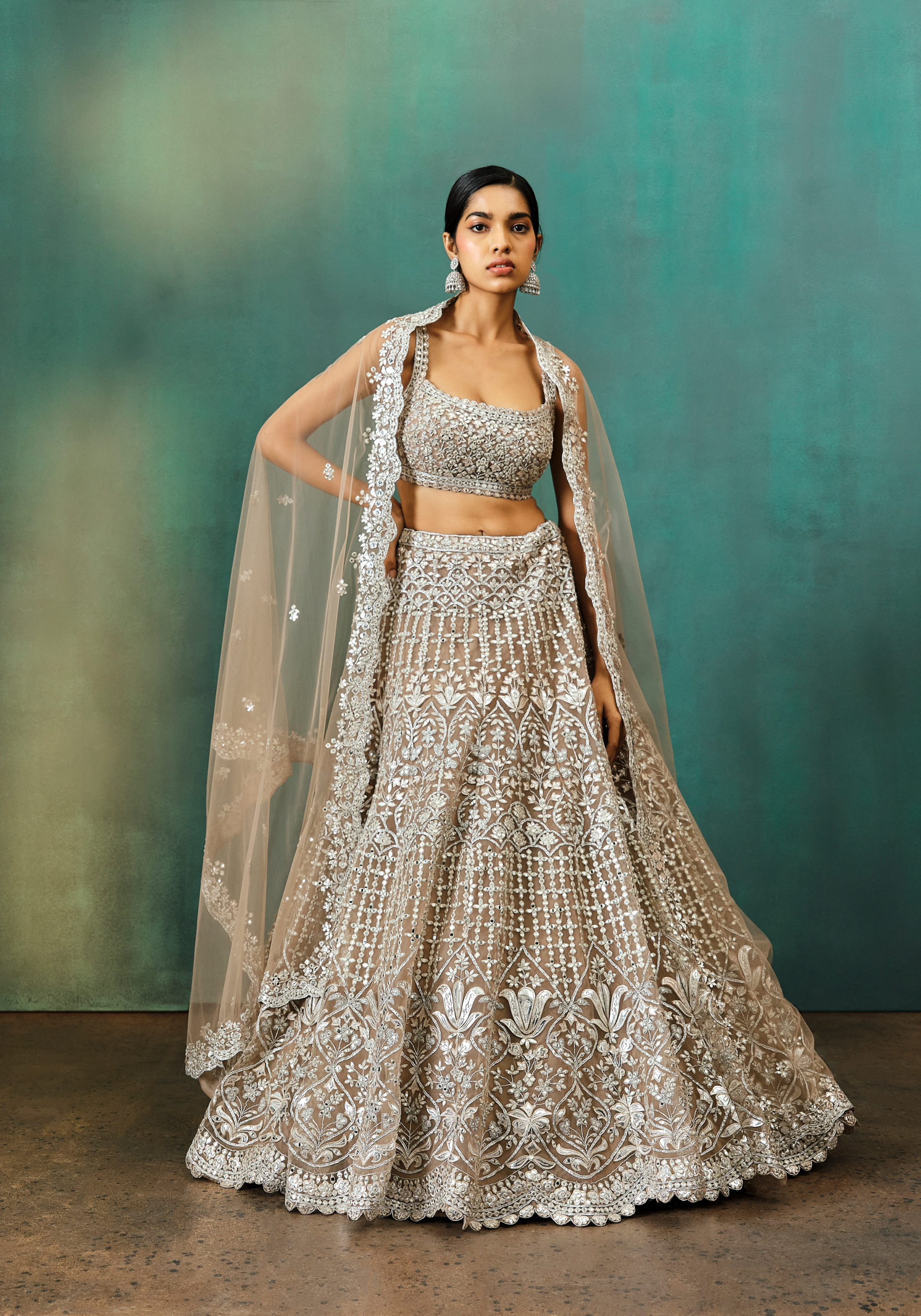 Taupe Net Silver Foil Applique Lehenga