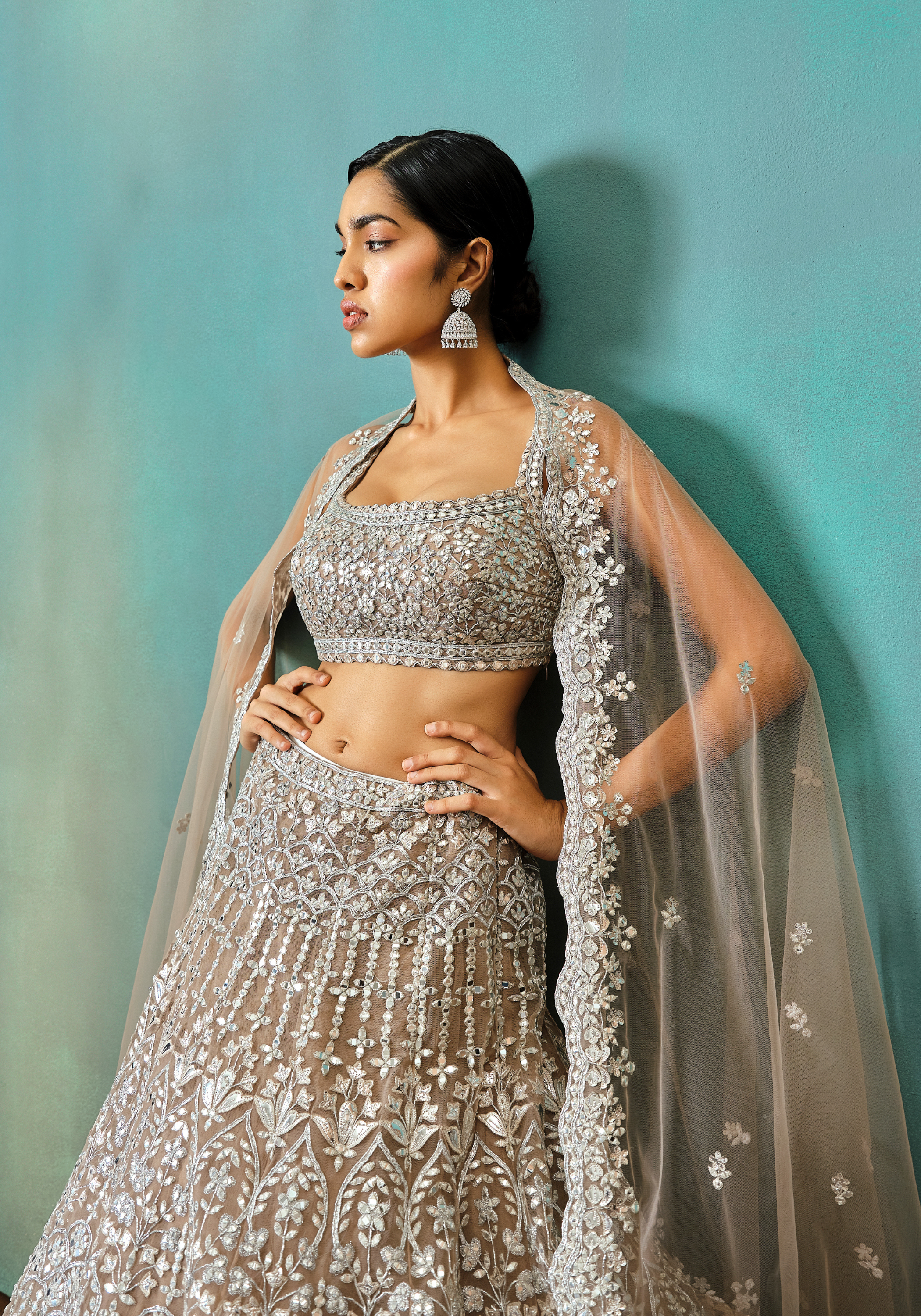 Taupe Net Silver Foil Applique Lehenga