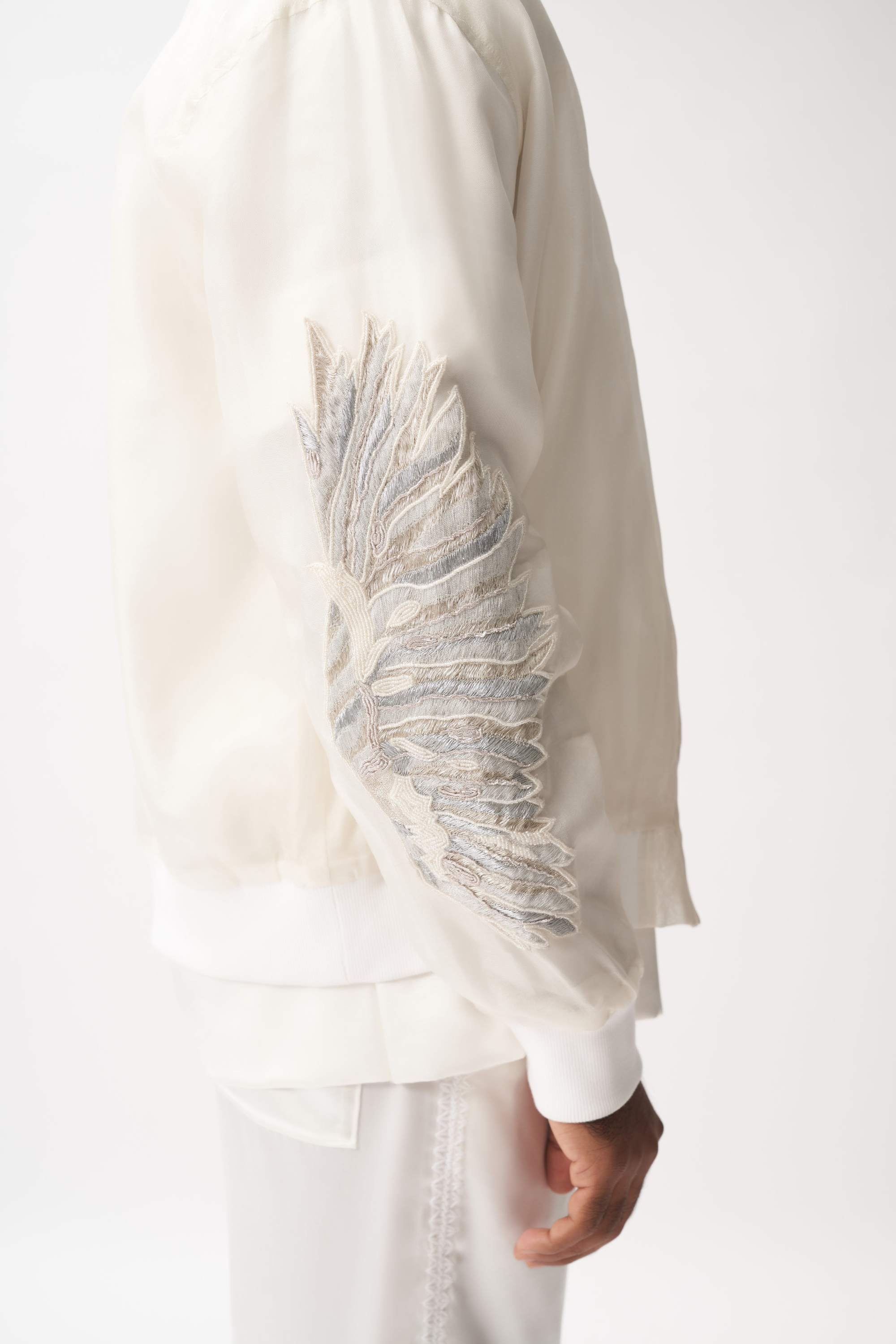Ether Wings Bomber