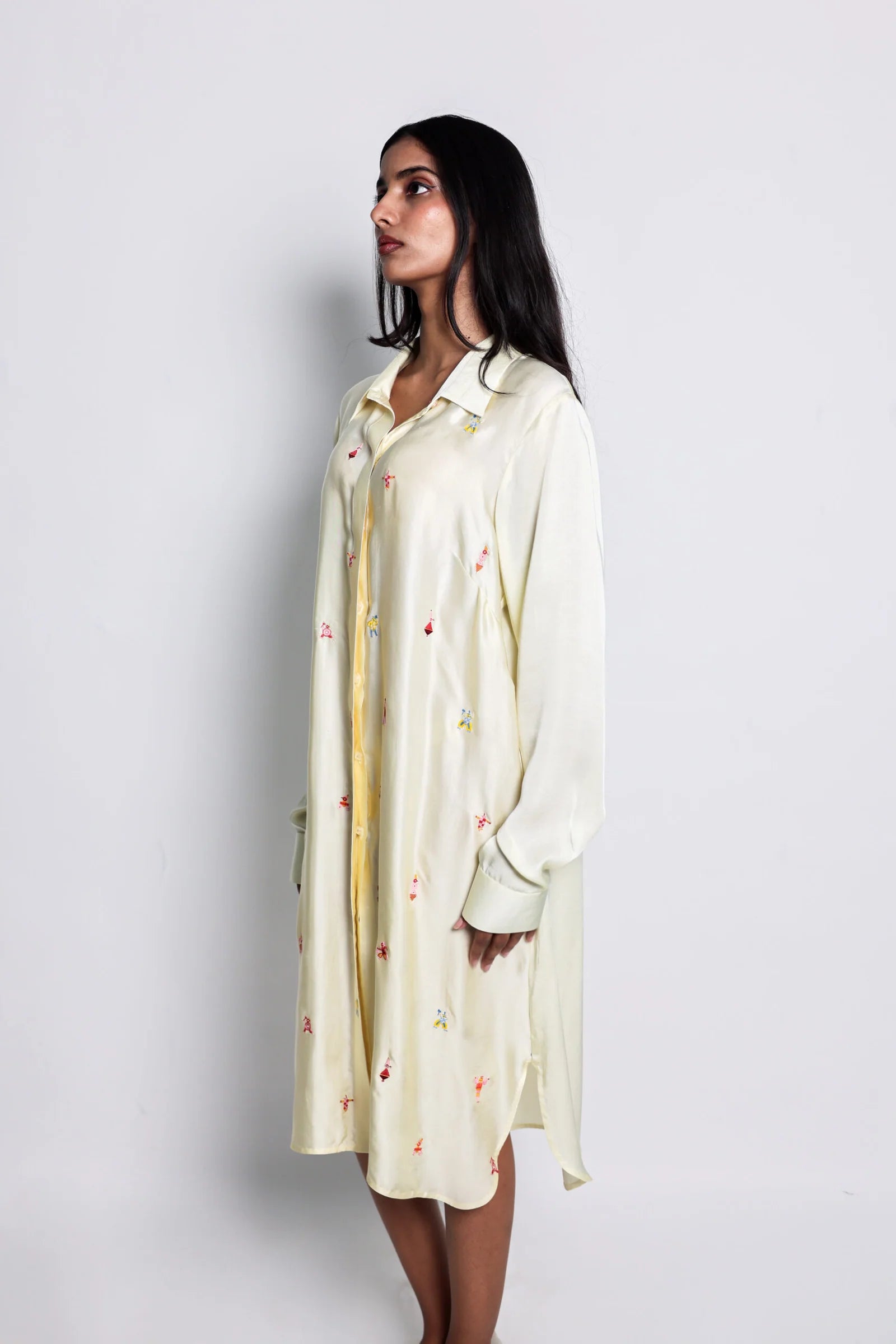 Boardroom Shirtdress