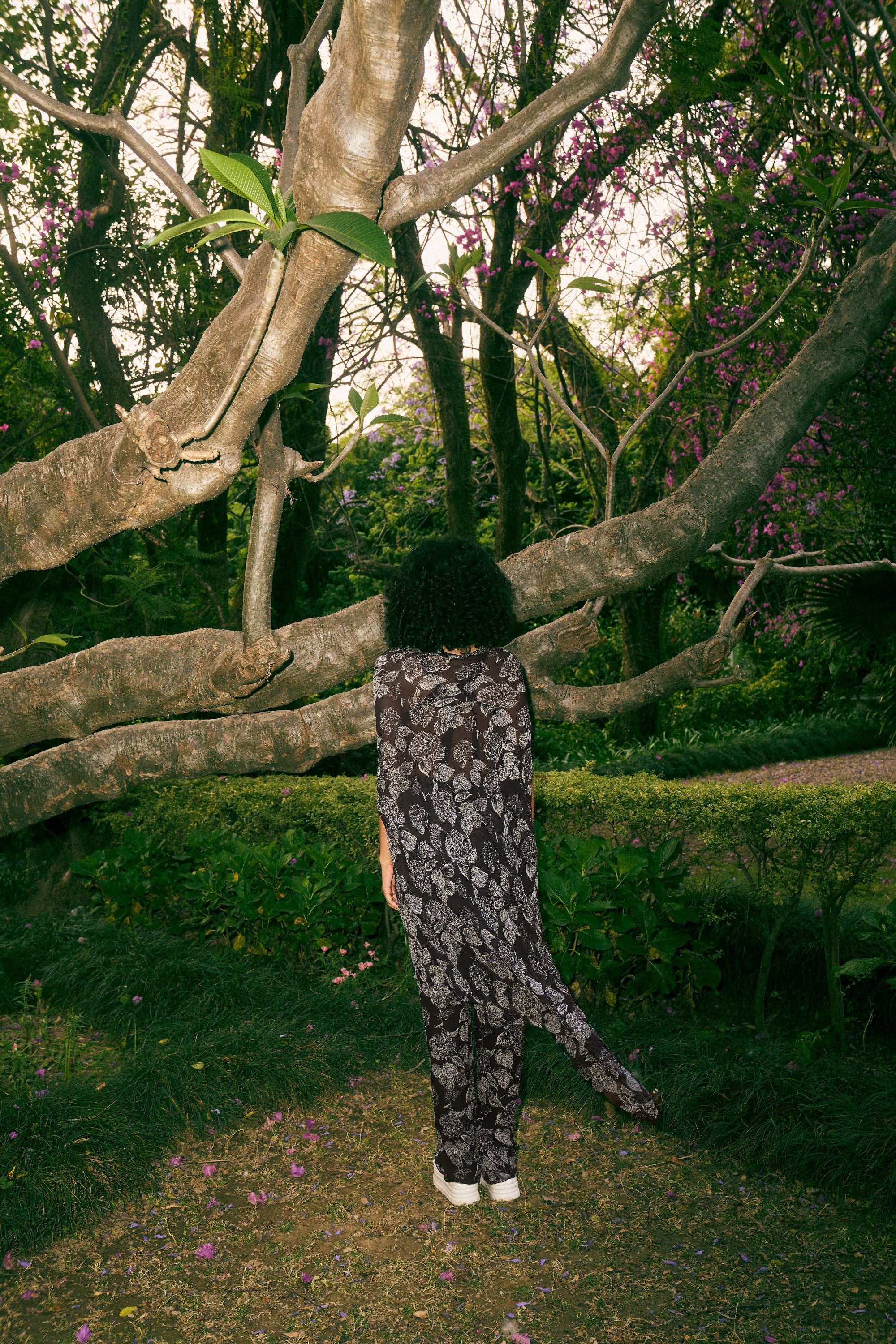 Marion Tunic & P.J. Pants