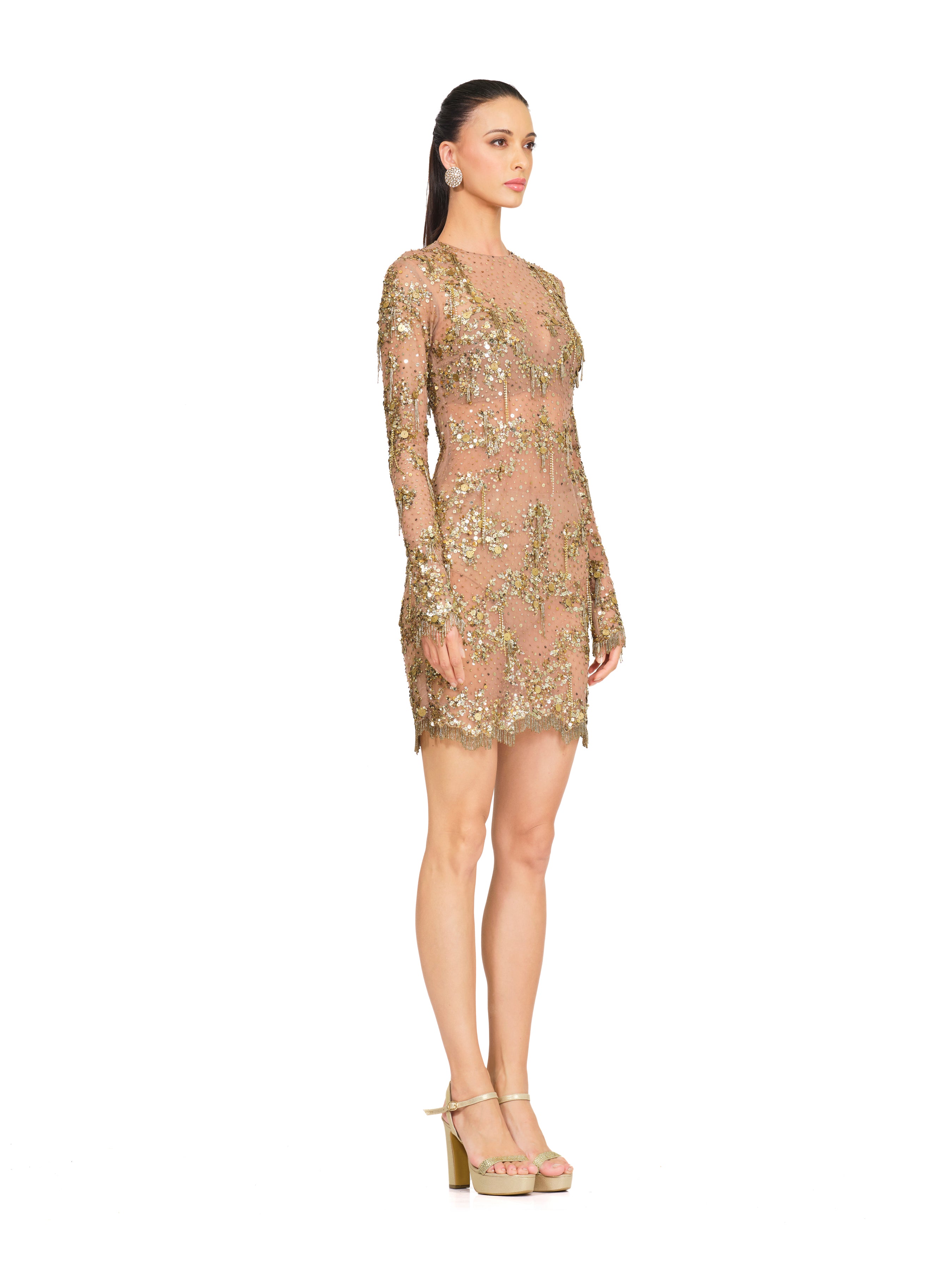 Gold Sheer Dress With Embroidery