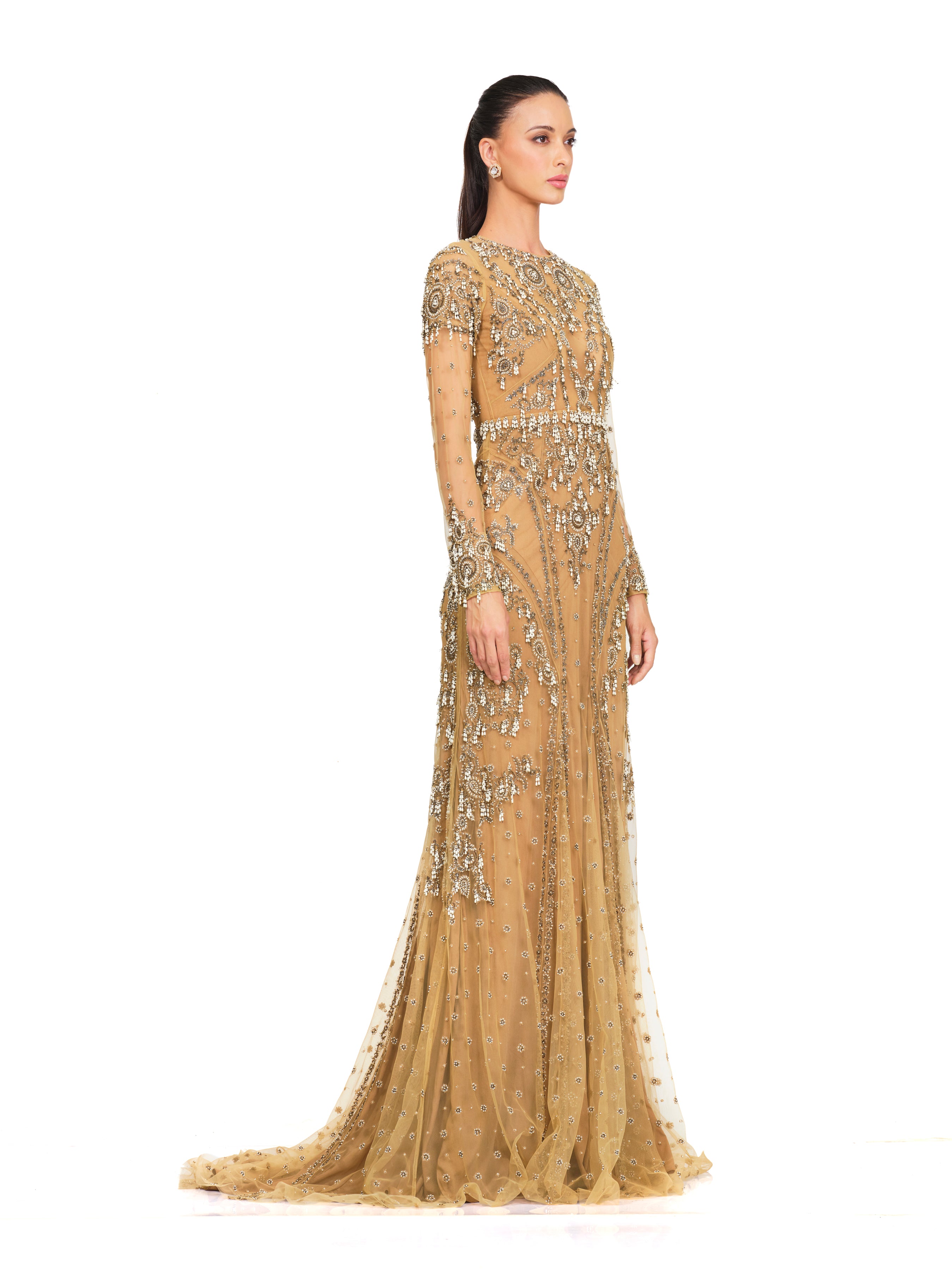 Beige Embroidered Full Sleeve Gown