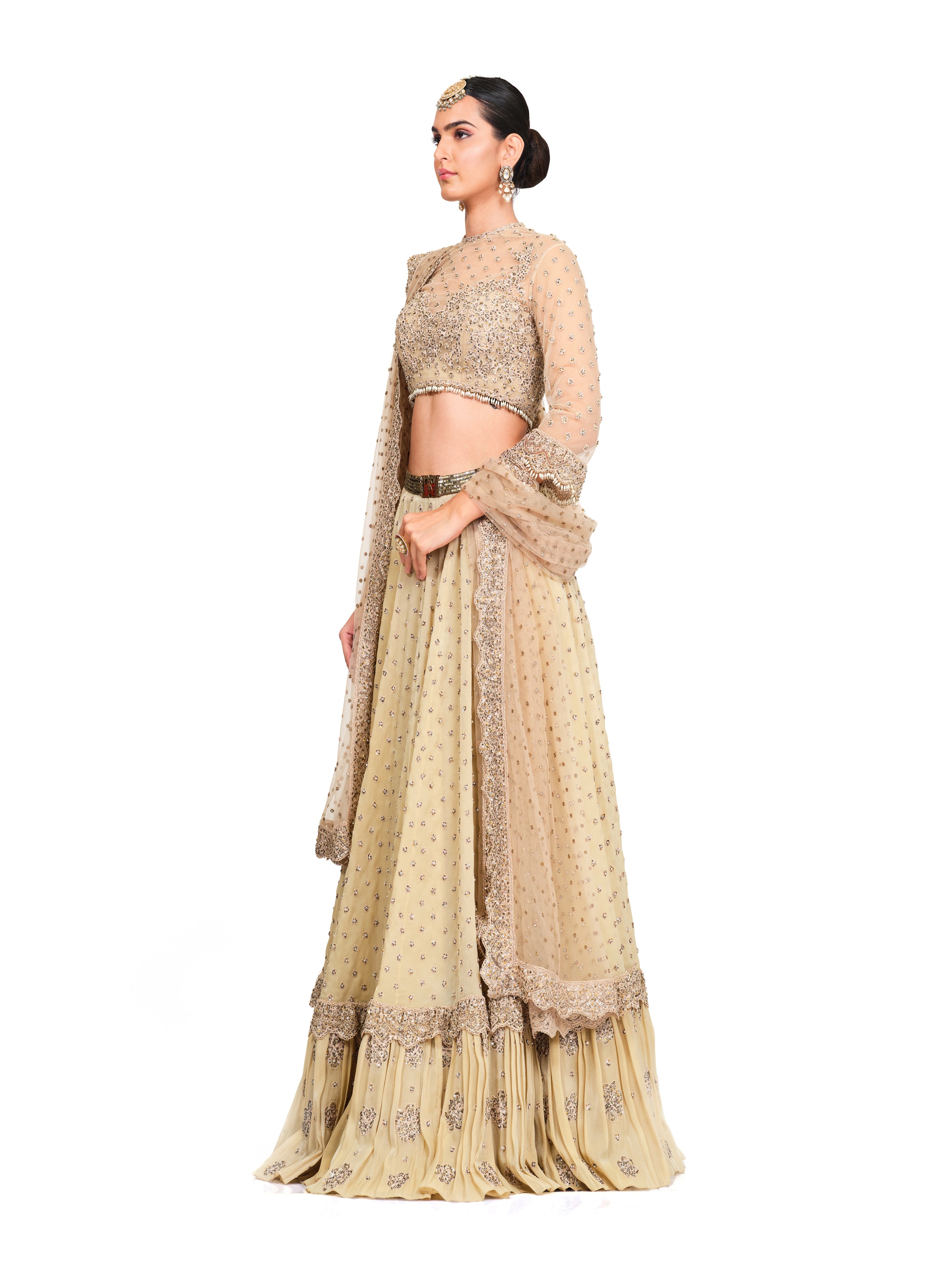 Beige Heavy Embroidered Lehenga With Dupatta