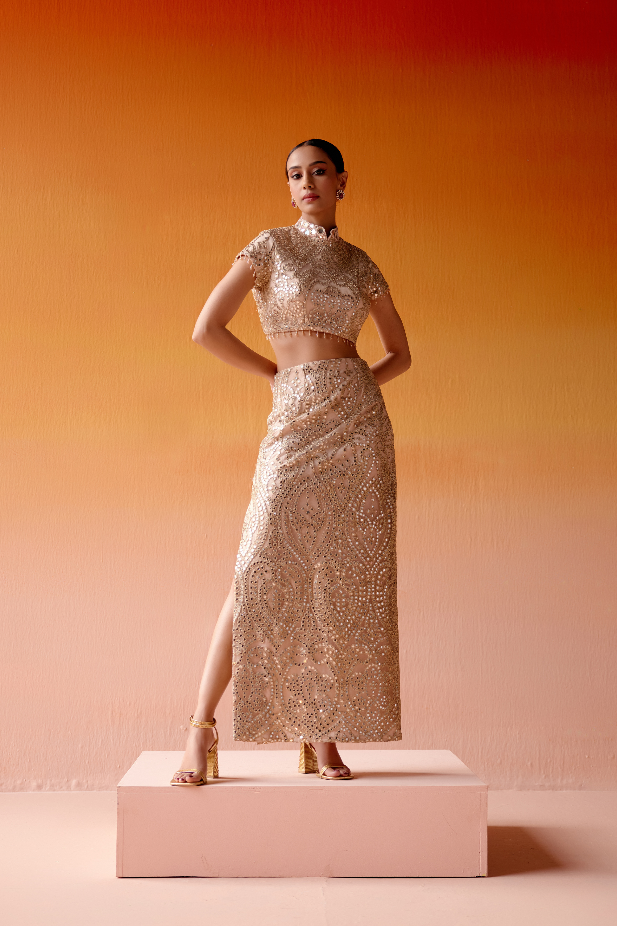 Long Skirt With High Neck Blouse