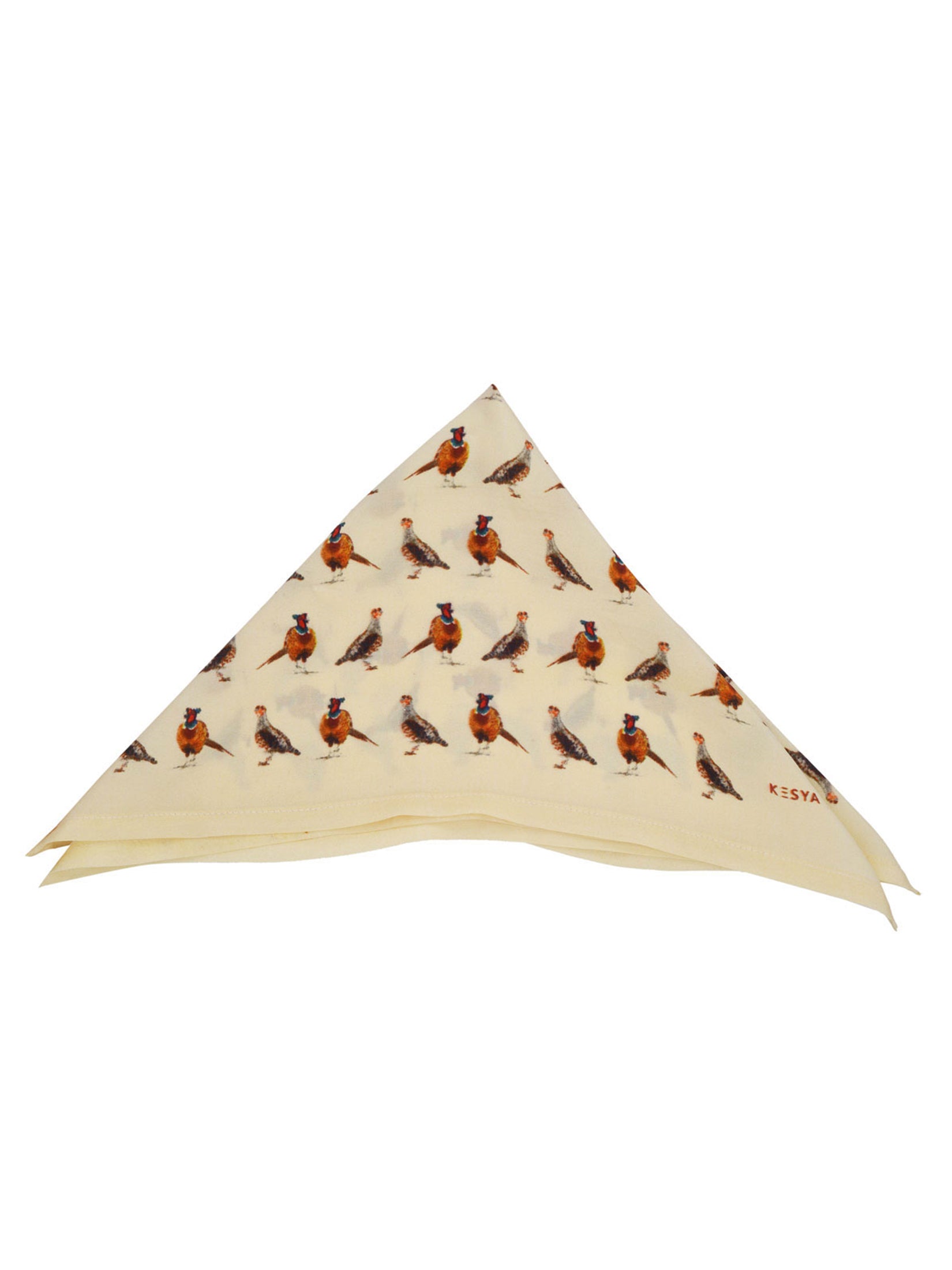 Game Bird Pocket Square