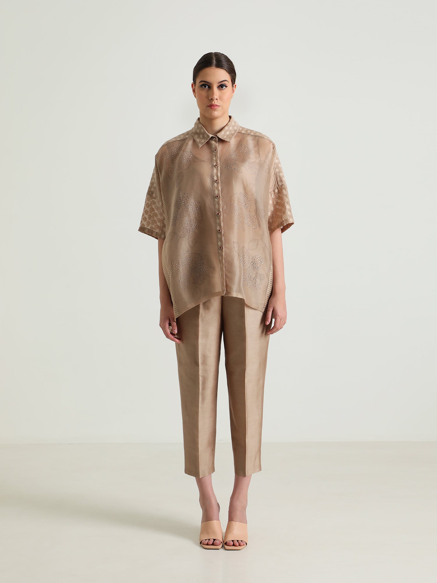 Beige Organza Lace Shirt And Silk Chanderi Pant