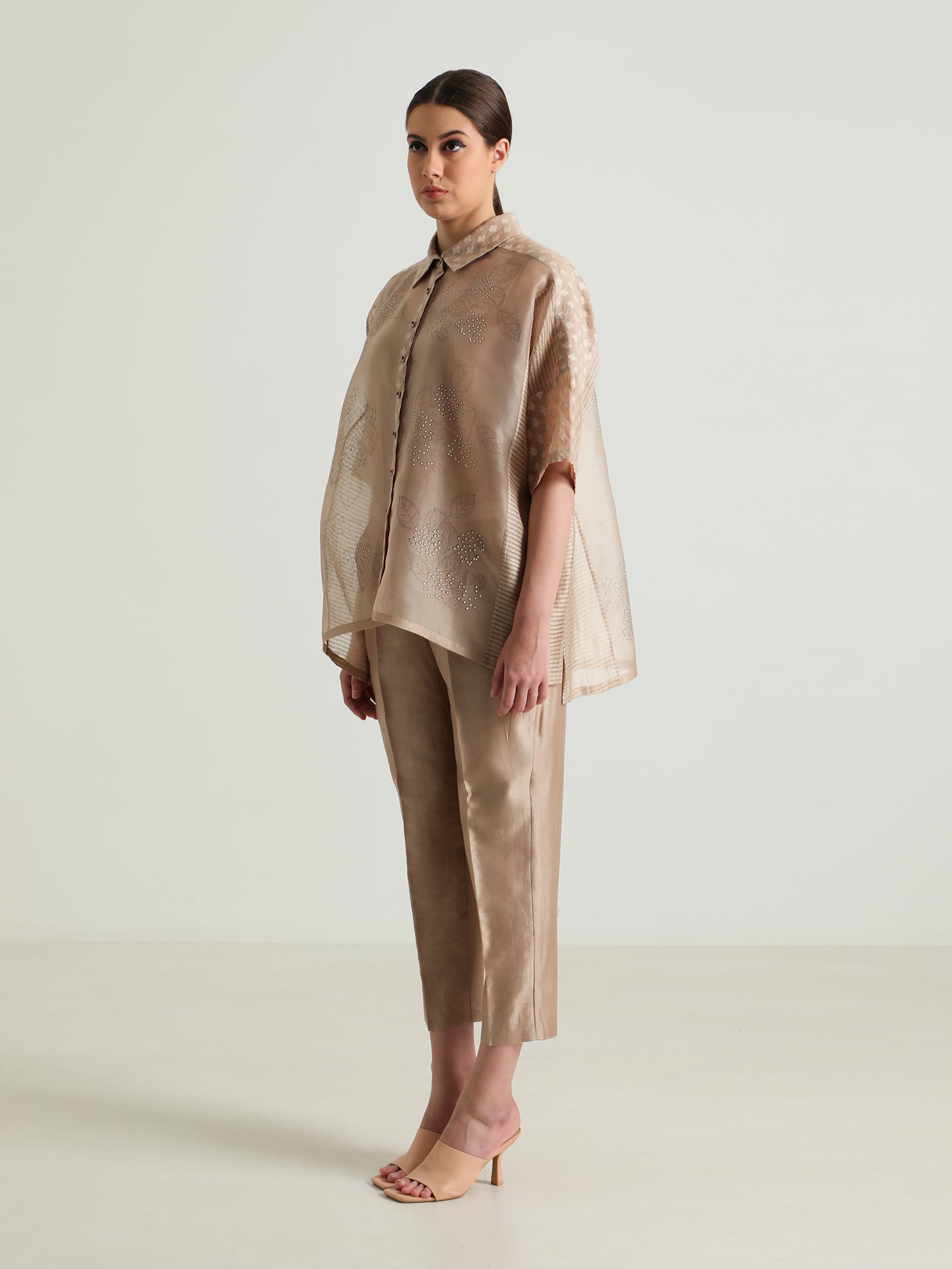 Beige Organza Lace Shirt And Silk Chanderi Pant