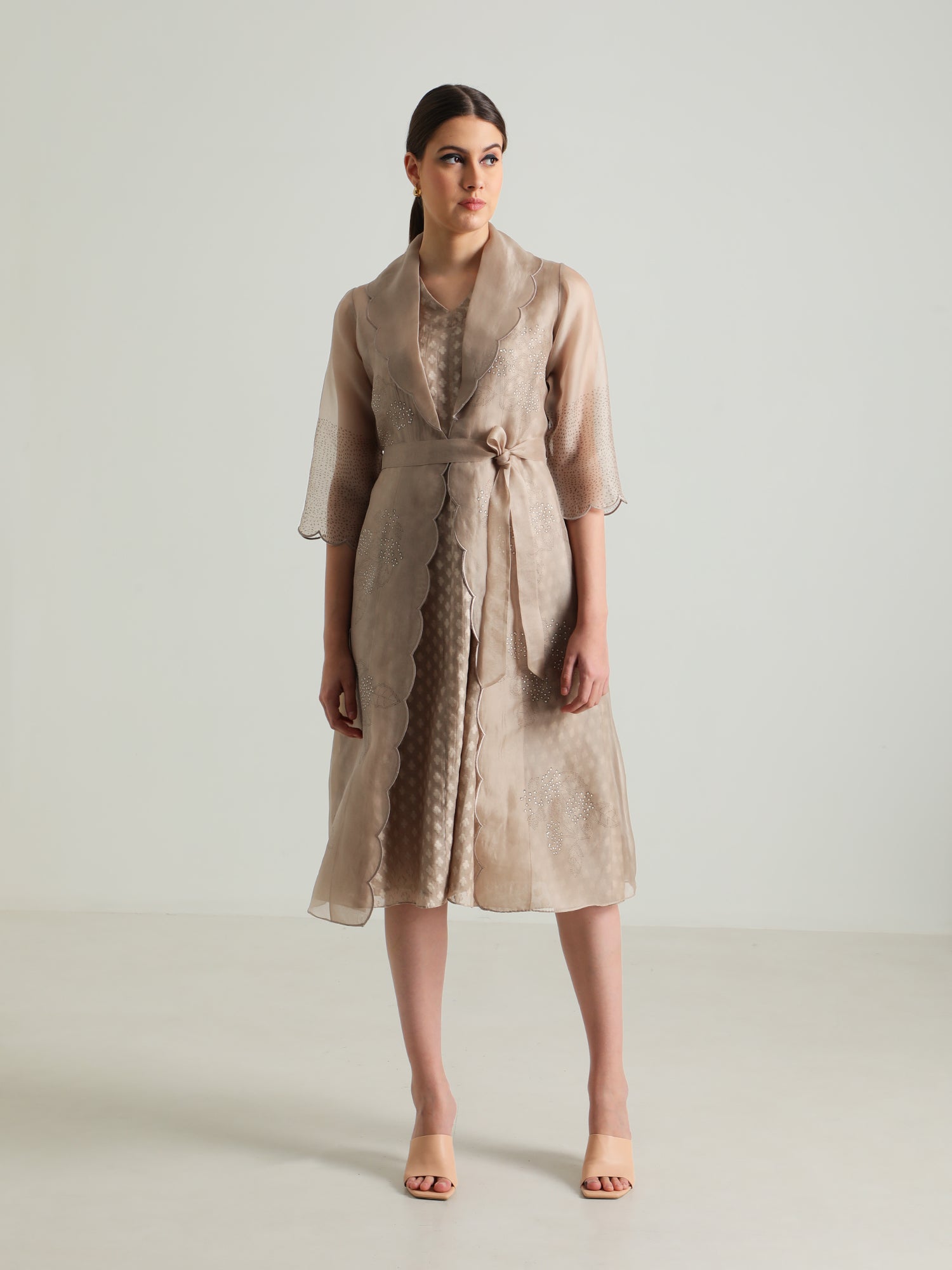 Beige Printed Organza Jacket And Brocade Dress