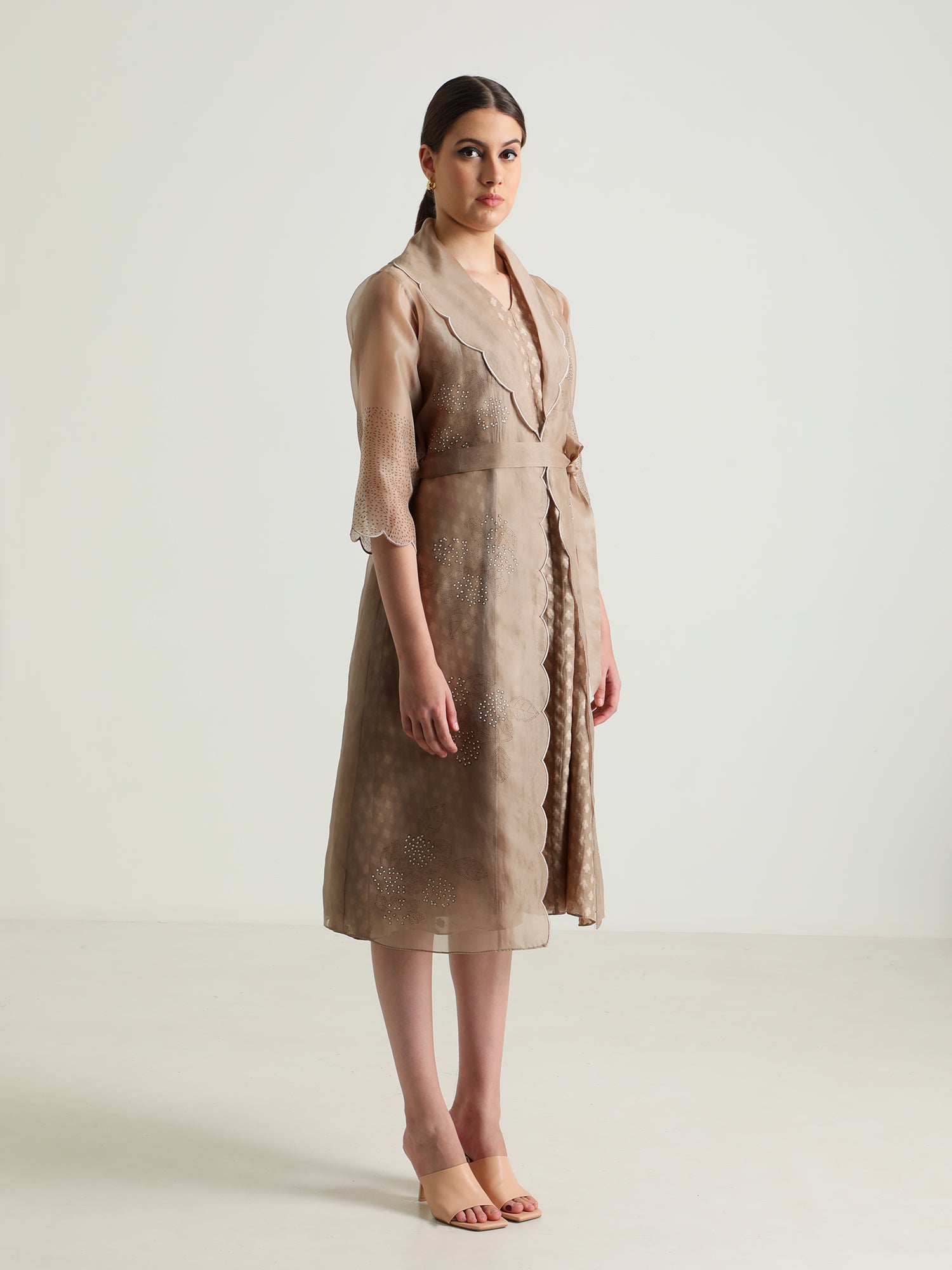 Beige Printed Organza Jacket And Brocade Dress