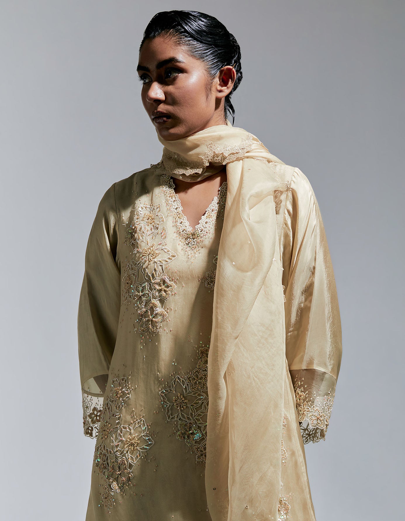 Shell Organza Dupatta