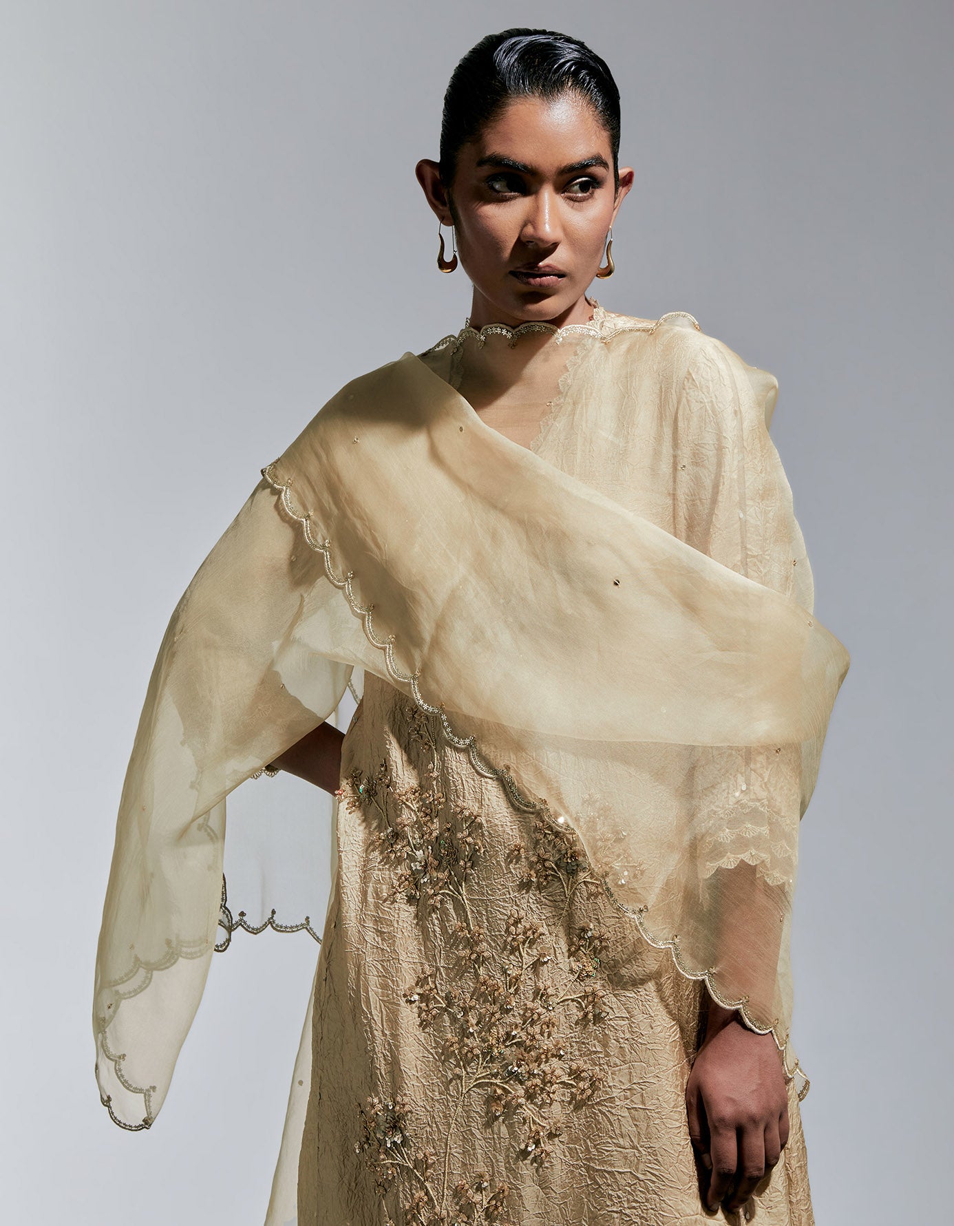 Shell Organza Dupatta