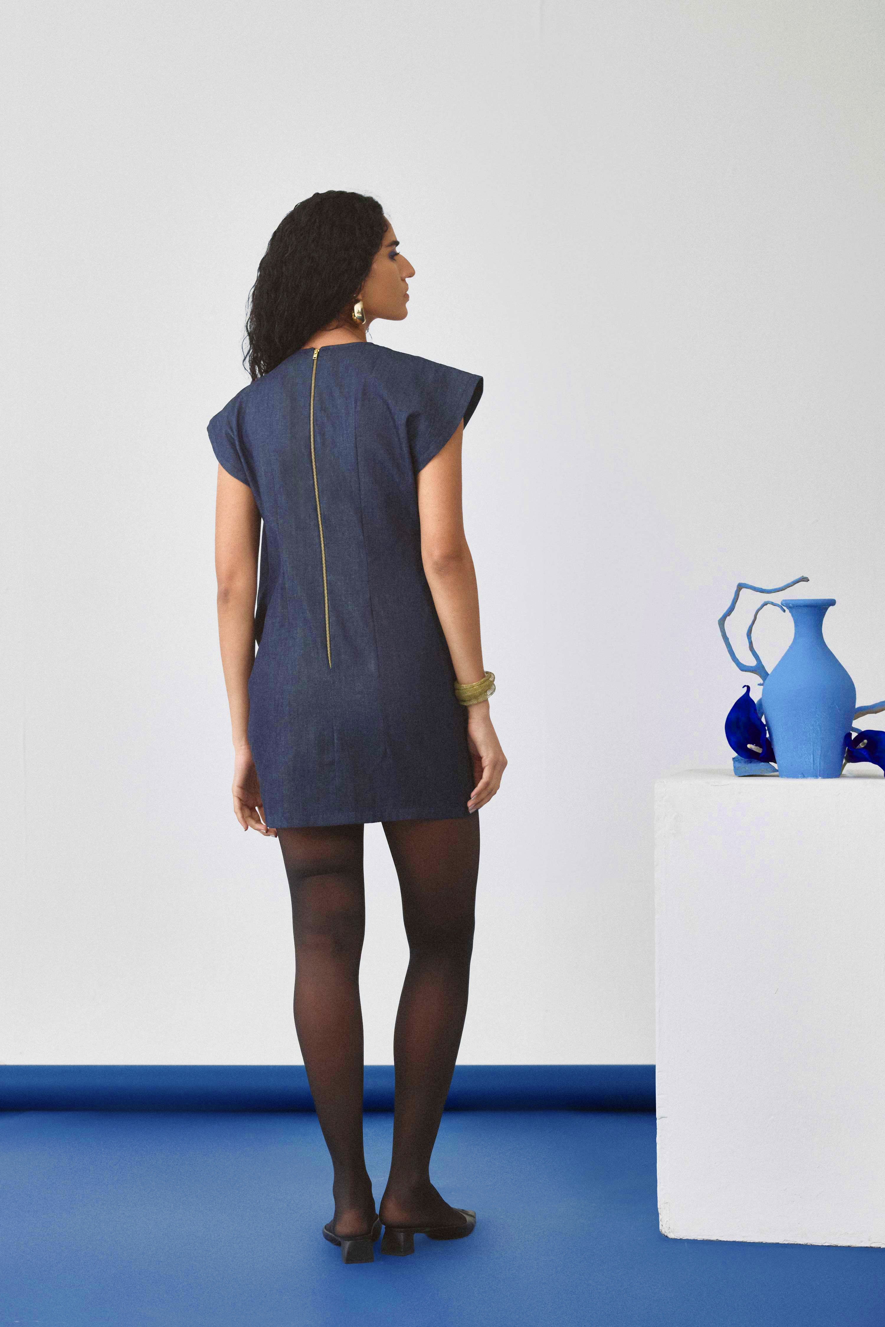 Echo  Reed Denim Dress