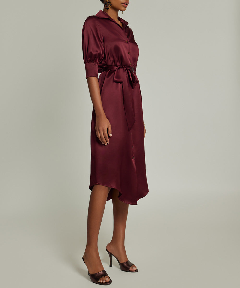 Silk Shirt Dress