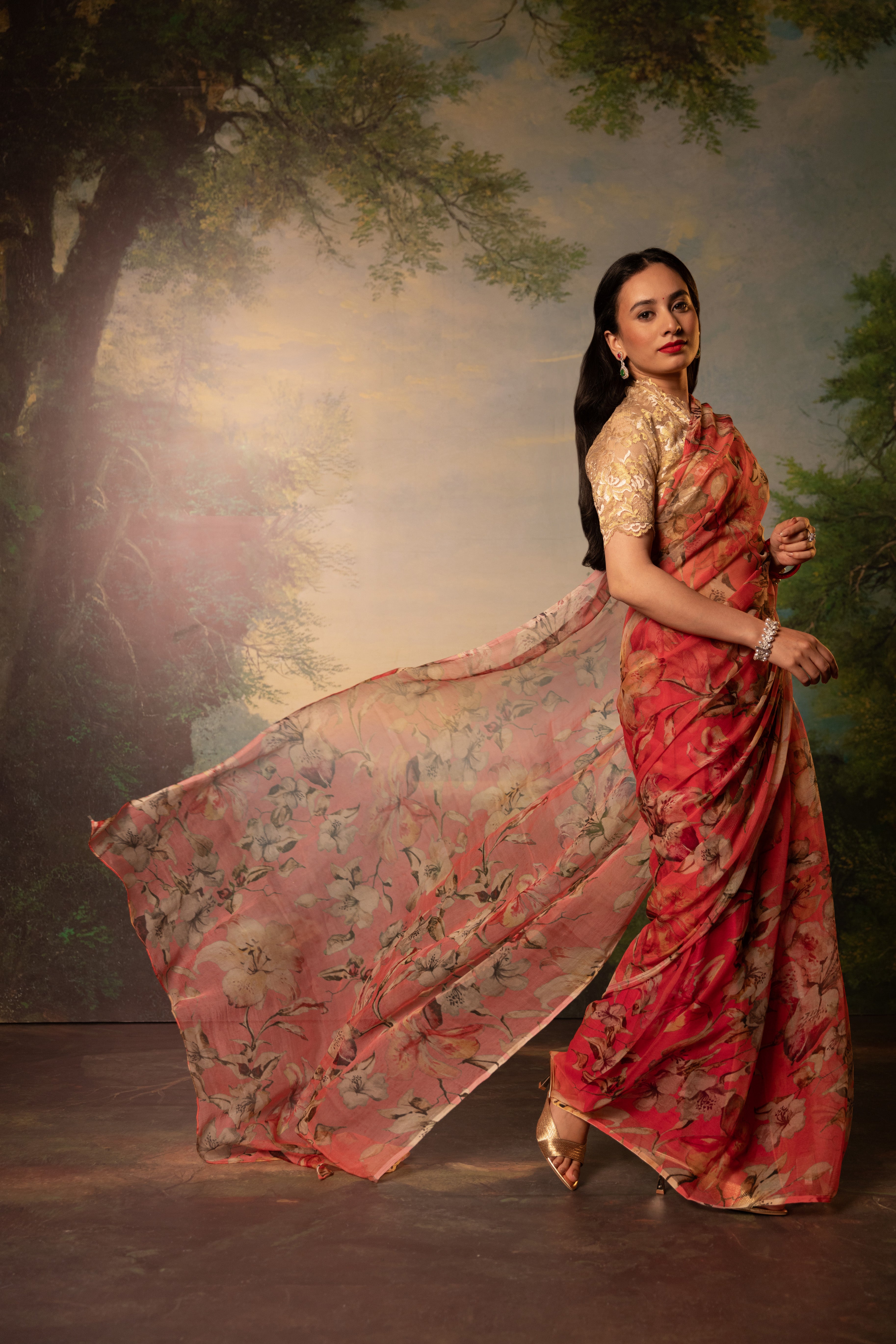 Padma Printed French Chiffon Saree