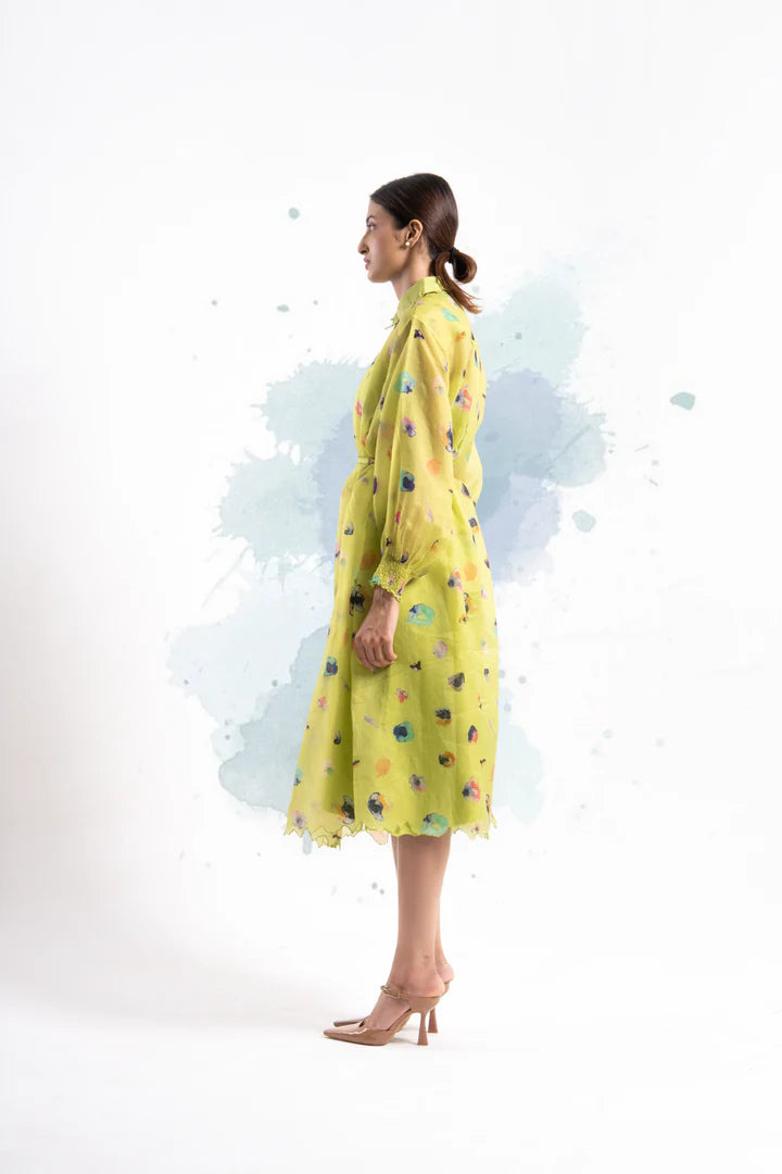 Leo Shirt Dress