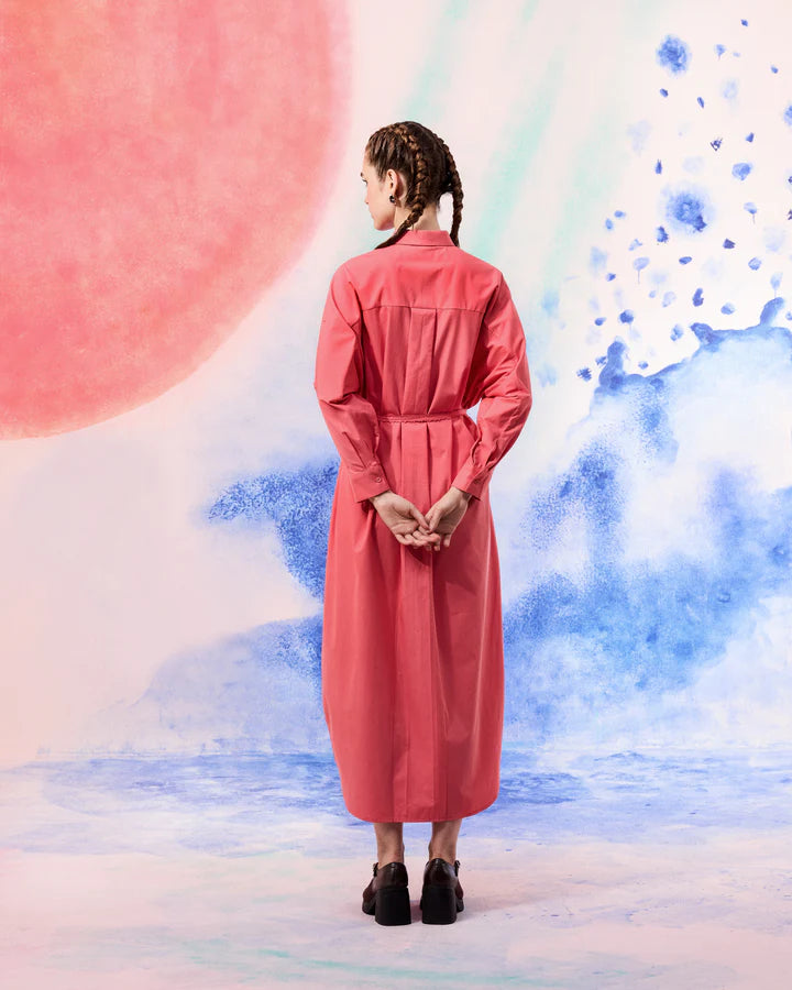 Lichen Shirt Dress