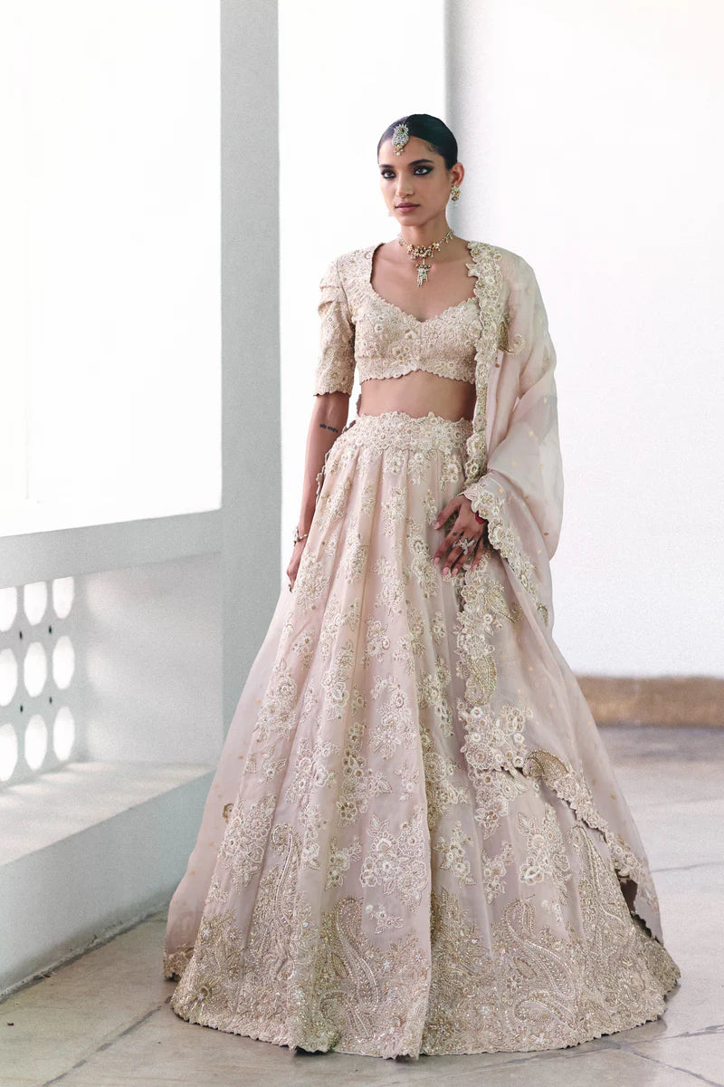 Dakshyani Lehenga Set