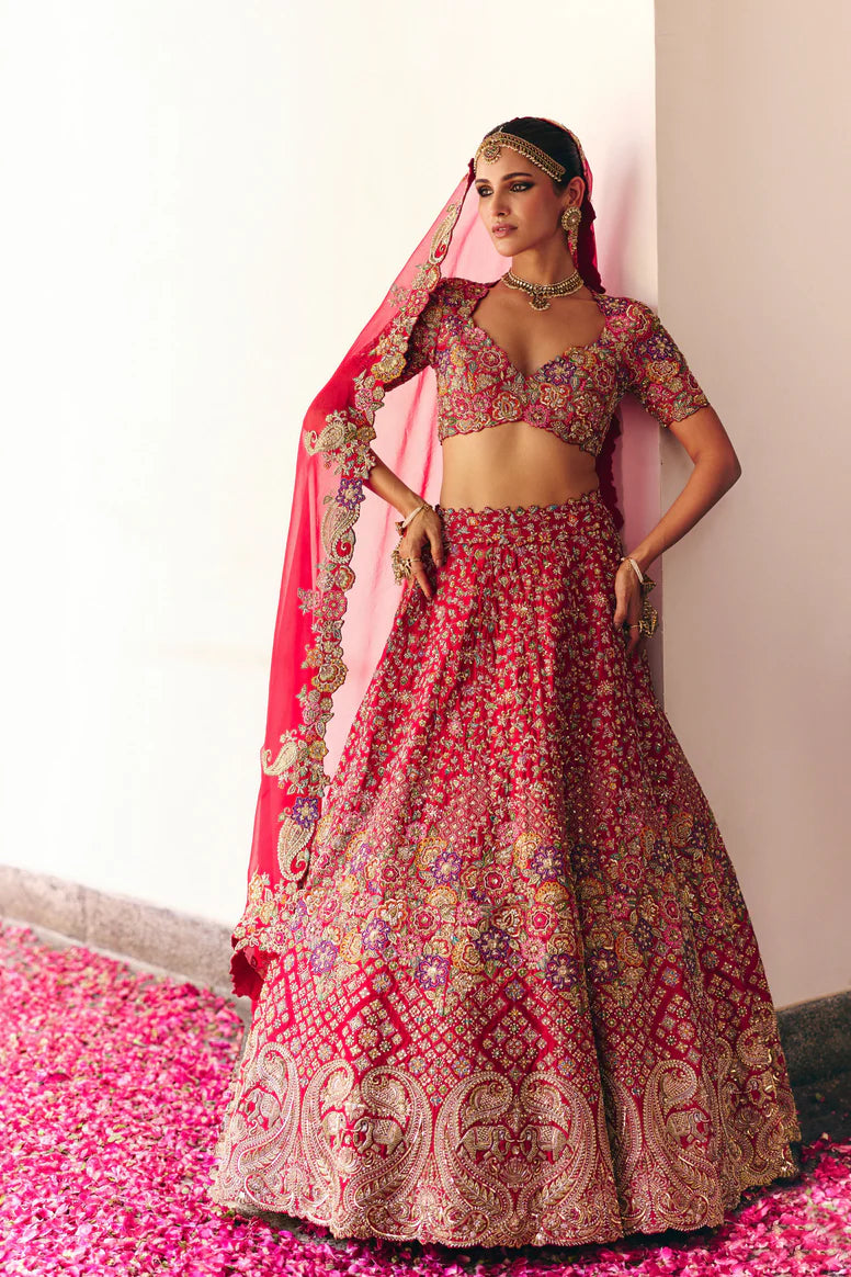 Aeindri Lehenga Set