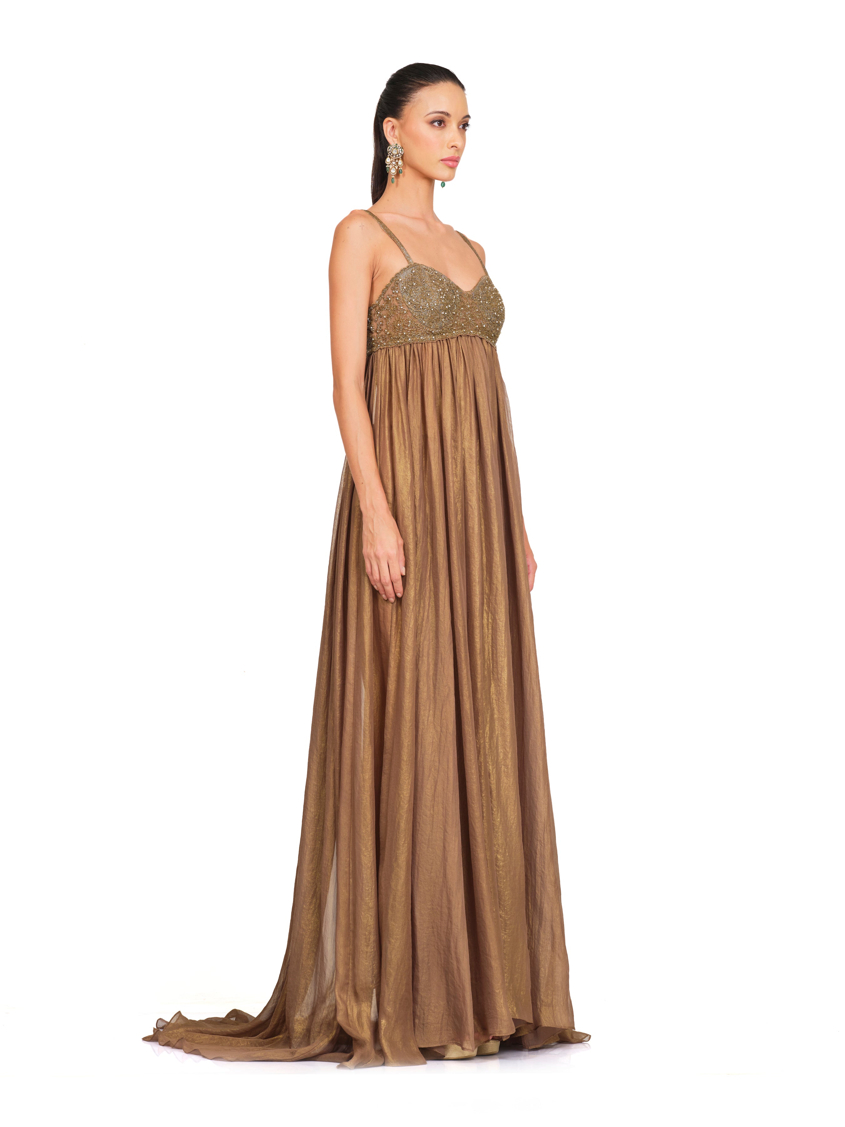 Embroidered Bust Metallic Gown