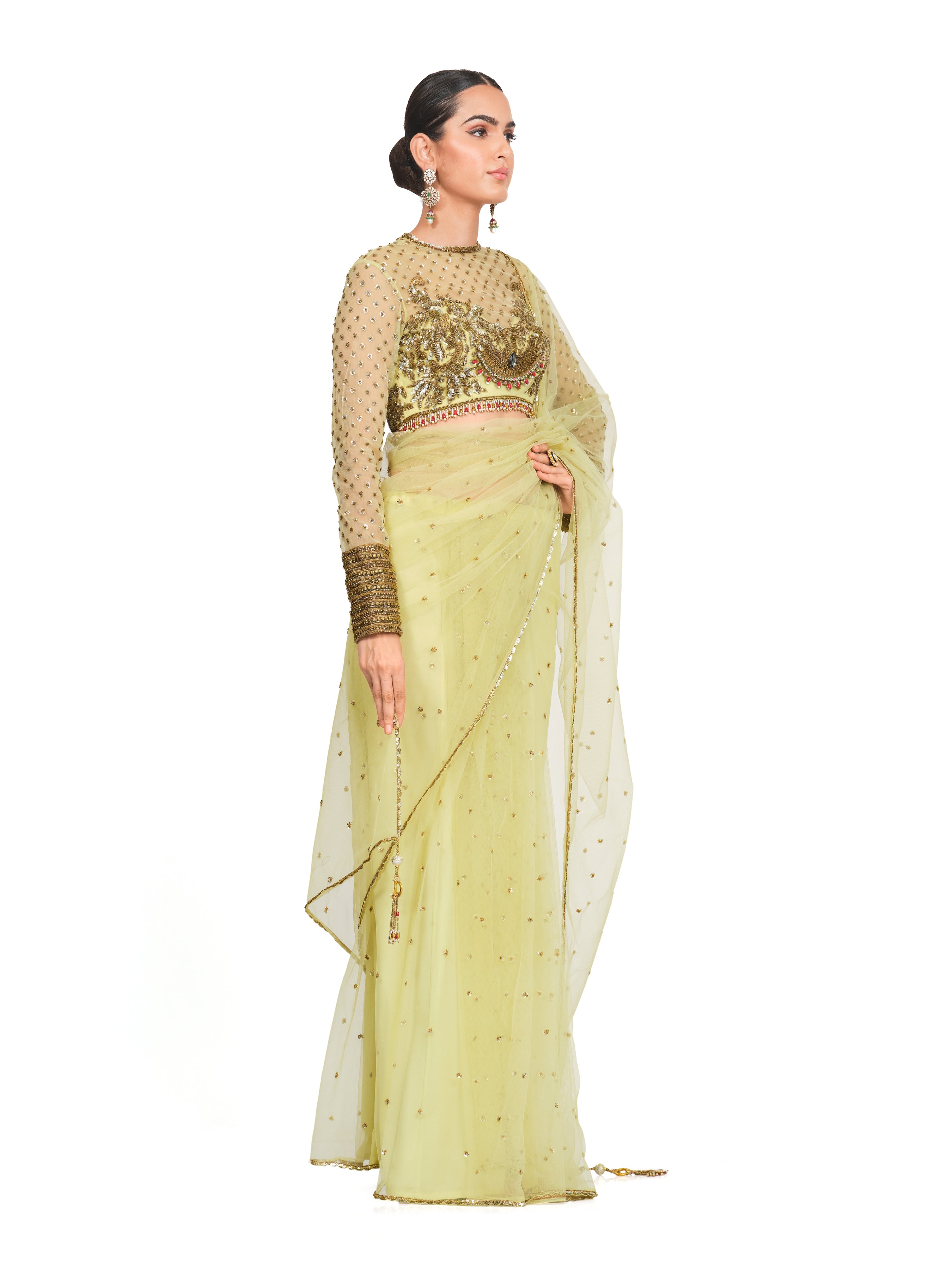 Net Saree With Embroidered Blouse