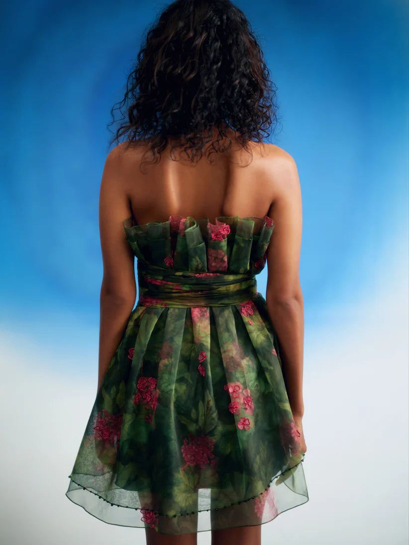 Printed Cabbage Dress