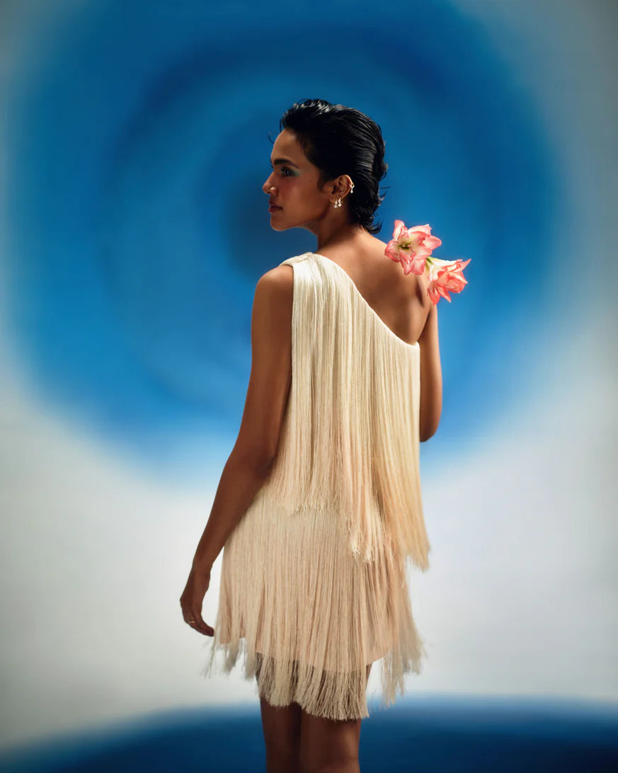Layered Ombre Fringe Dress