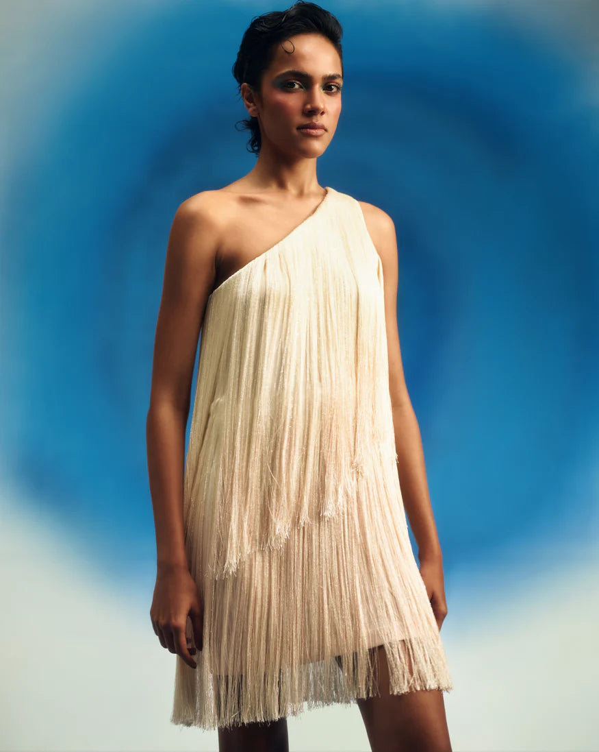 Layered Ombre Fringe Dress